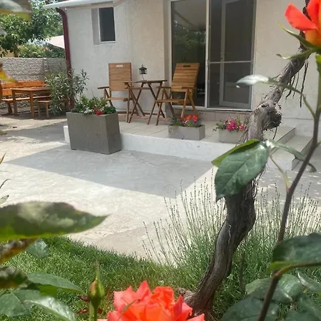 Casa Mateiana Guest house 3*